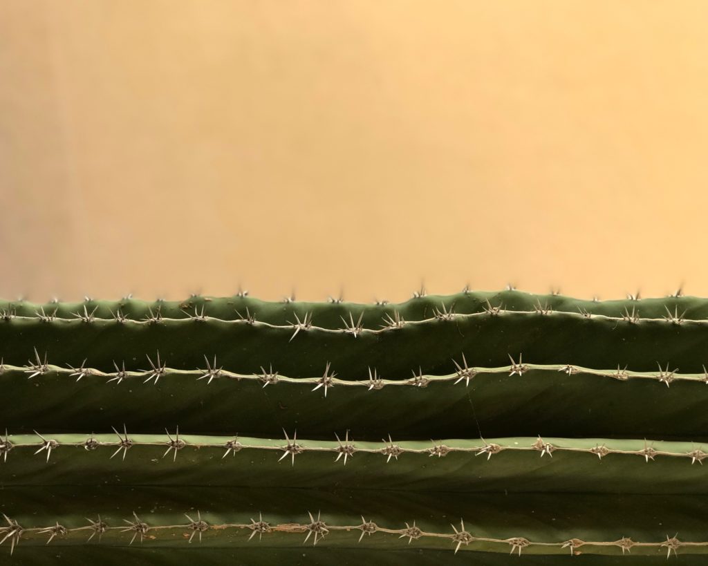 4 Day Hot Yoga Retreat in Desert Hot Springs Hot Yoga Zen