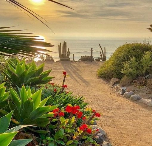 Sunset pic overlooking the beach in San Diego for a Hot Yoga Teacher Training